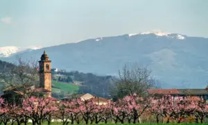 Volpedo: Cirio alla Festa degli edili della Fillea Cgil, confronto su lavoro e sviluppo