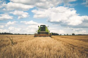 Agricoltura Piemonte, Protopapa: “Stop agli obblighi insostenibili”