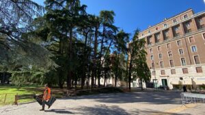 Cedro instabile ai Giardini Pubblici: rimozione prevista lunedì