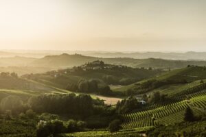 Asti Docg, via libera a riduzione rese e stoccaggio vendemmiale
