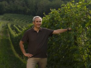 Nel Casalese vendemmia anticipata. Il punto dell’enologo