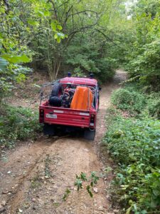 Lerma, malore improvviso nel bosco: muore cercatore di funghi