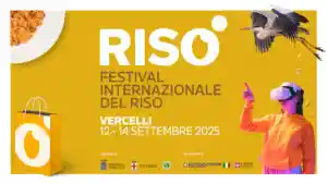 L'oro bianco accende Vercelli: in arrivo Risò - Festival Internazionale ...