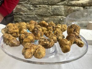 Trisobbio lancia la 7ª Fiera del tartufo bianco tra tradizione e innovazione