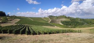 Monleale: il ‘Montecitorio’ di Massa fra i migliori 100 secondo Wine Enthusiast