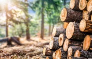 Confagricoltura Piemonte: “Dazi Usa grave zavorra per la filiera del legno, servono subito interventi Ue”