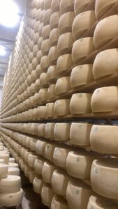 Nasce “Bianco”, il formaggio da tavola ‘firmato’ Piemonte Latte, Lait Service e Fattorie Tobia