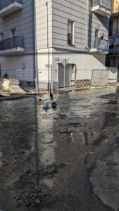 34f09afd-7ed8-494e-afc4-569809921394