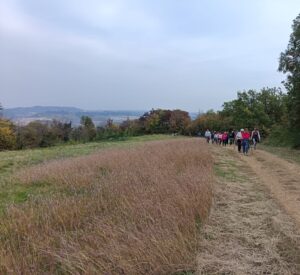 I colli pietrosi di Alfiano Natta: un percorso tra arte e natura
