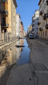 c8f44e09-66d9-4e6c-a049-38c77052b076