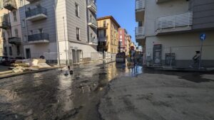 e538d492-4f1e-4f33-8710-e12a49b82516