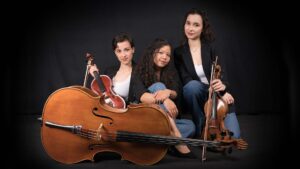 Rocca Grimalda, oggi il Trio Plavens