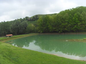 Acqua e bacini di accumulo, Coldiretti Alessandria: “Strategici per agricoltura e AI”