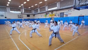 Yudanshakai San Salvatore: stage e esami di cintura al Palazzetto