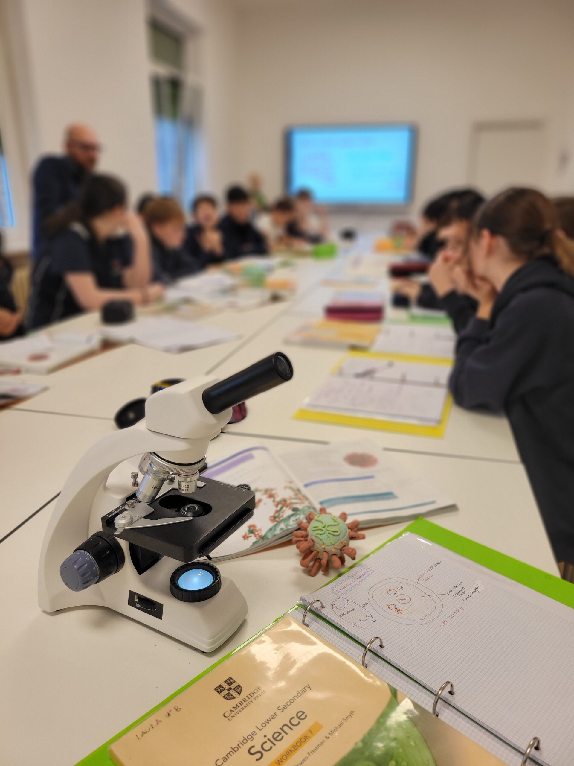 alexandria-international-school