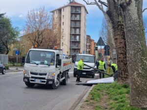Meteo Alessandria: vento forte per tutto il giorno