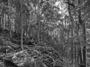 Pasqua nei musei civici di Alessandria: mostre e aperture