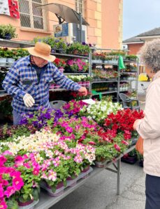 Frascaro, è la domenica dei fiori