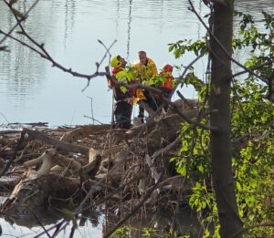 Alessandria: ponte Tiziano, recuperata una persona sui rami accatastati all’arcata del ponte