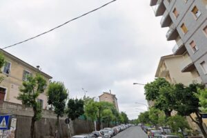 Ovada, una siringa tra le aiuole di viale stazione