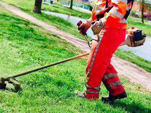 Alessandria, manutenzione del verde: sfalci e potature in città fino al 31 luglio