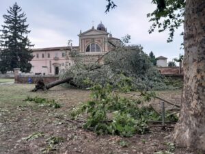 Bosco Marengo, il maltempo devasta il viale di Santa Croce