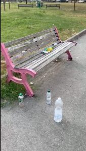 Alessandria: Villaggio Europa, degrado nel parco. “E gli alberi spariscono ancora”