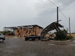 Alessandria, richieste danni per maltempo. Ecco i termini