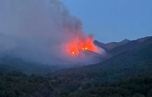 Mornese e Lavagnina: altri 100 ettari di bosco se ne sono andati