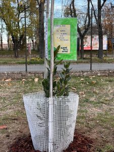 Alessandria più verde, il M5S: «Ogni gruppo consiliare pianti un albero all’anno»